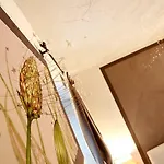 Bed & Breakfast Maison Bondaz&spa Privé 4*