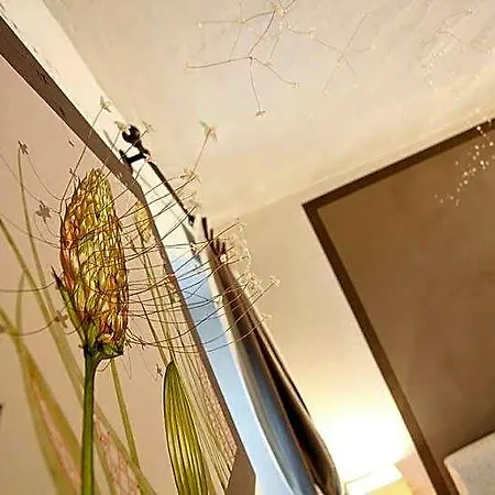 Bed & Breakfast Maison Bondaz & Prive 4*